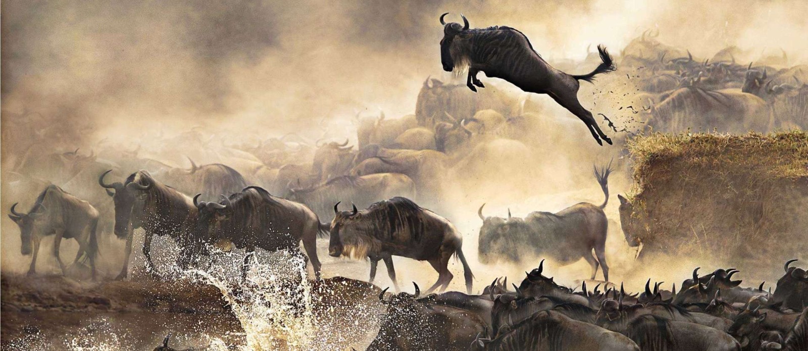 5 DAYS 4 NIGHTS MASAI MARA MIGRATION SAFARI